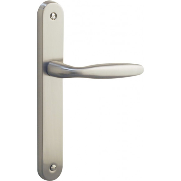 Ensemble sur plaque bristol alu nickel mat bec de cane entr 195mm