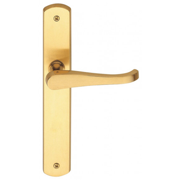 Poignée de porte Lucia laiton bec de cane entraxe 195mm