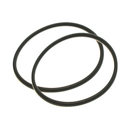 Lot de 2 joints pour filtres Leaderphos