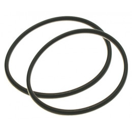 Lot de 2 joints pour filtres Leaderphos
