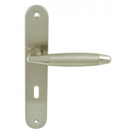 Ensemble poignée de porte berault trou serrure entraxe 195mm