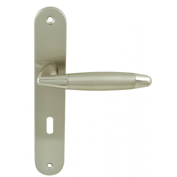 Ensemble poignée de porte berault trou serrure entraxe 195mm