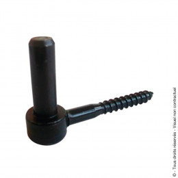 Gond à visser Longueur 100mm diamètre 14mm noir