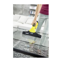 Nettoyeur vapeur WV5 premium