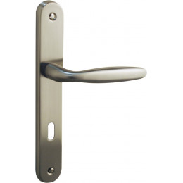 Ensemble de poignées de porte sur plaque bristol alu nickel mat