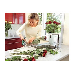 Découpeur universel sans fil BOSCH Xeo