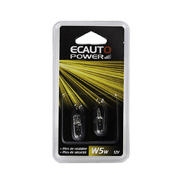 2 lampes automobile W5W 12V