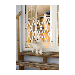 Barrière extensible en laqué blanc pour animaux