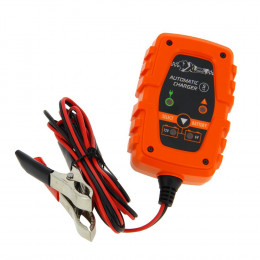 Chargeur batterie automatique S + maintien de charge