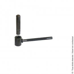 Gond à scellement chimique Longueur 140mm - noir