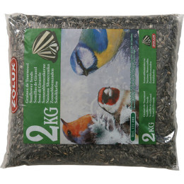 Graines de tournesol oiseaux du jardin sac 2kg