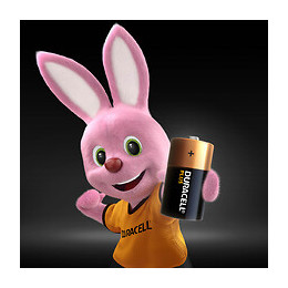 2 Piles Alcalines PLUS C