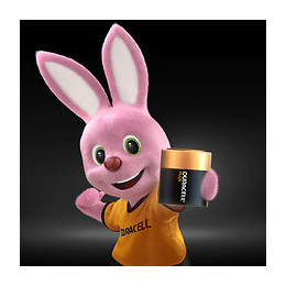 Pile Alcaline PLUS type 4.5 Volts