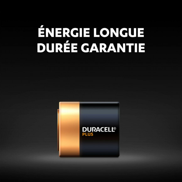 Pile Alcaline PLUS type 4.5 Volts