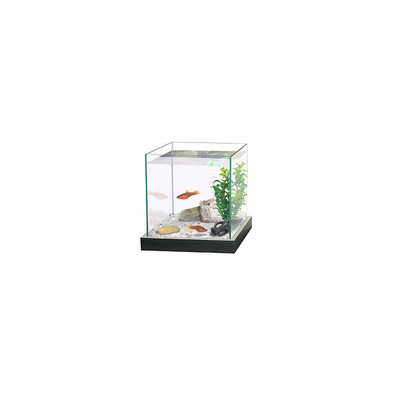 Aquarium pour combattant - 8L