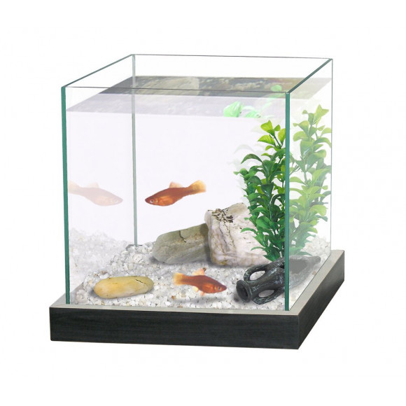Aquarium pour combattant - 8L