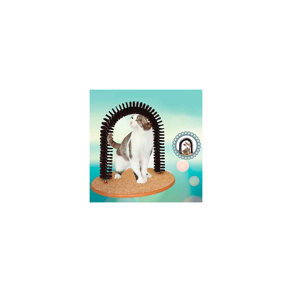 Grattoir Et Griffoir 2 En 1