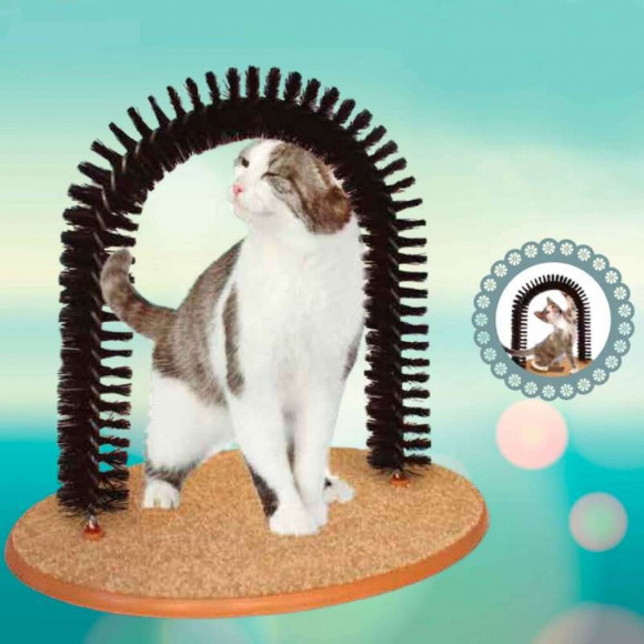 Grattoir Et Griffoir 2 En 1