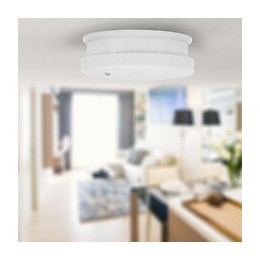 Détecteur De Fumée Smartwares Avec Pile, Certifié Tuv Rm250, 1 An