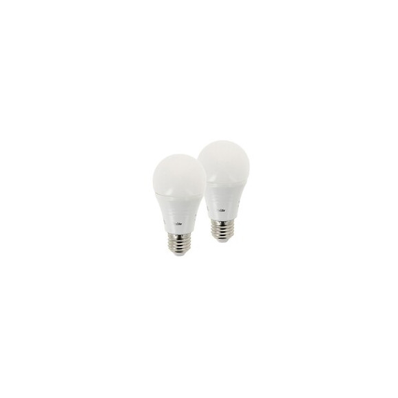 Lot De 2 Ampoules Led A60 - Culot E27 - Classique