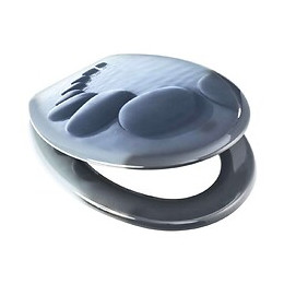 Abattant De Wc Modele Chemin De Galets