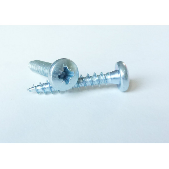 Berlingot de 100 vis agglo tête cylindrique pozidriv 5x40 mm NONAME