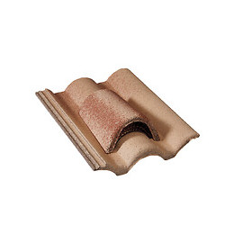 Tuile chatière grillagée Plein Ciel Silvacane Littoral