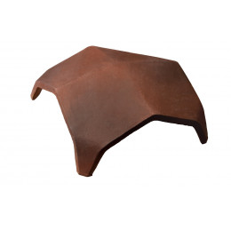 RENC 4V PANS R.VIEILLI