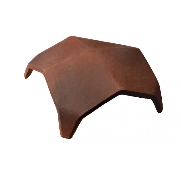 RENC 4V PANS R.VIEILLI