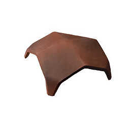 RENC 4V PANS R.VIEILLI