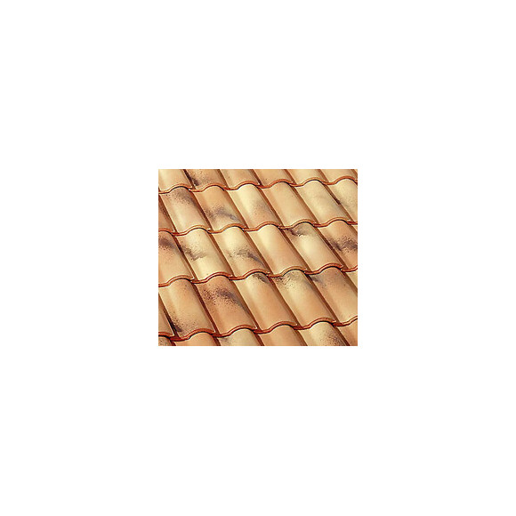 Double tuile Gallo-Romane Silvacane Littoral