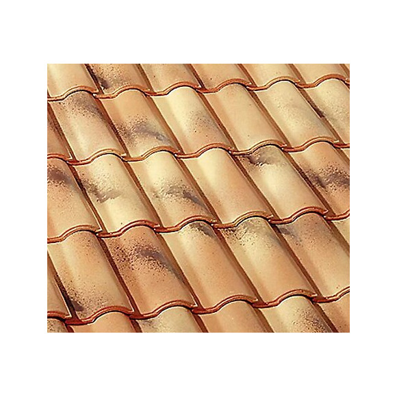 Double tuile Gallo-Romane Silvacane Littoral