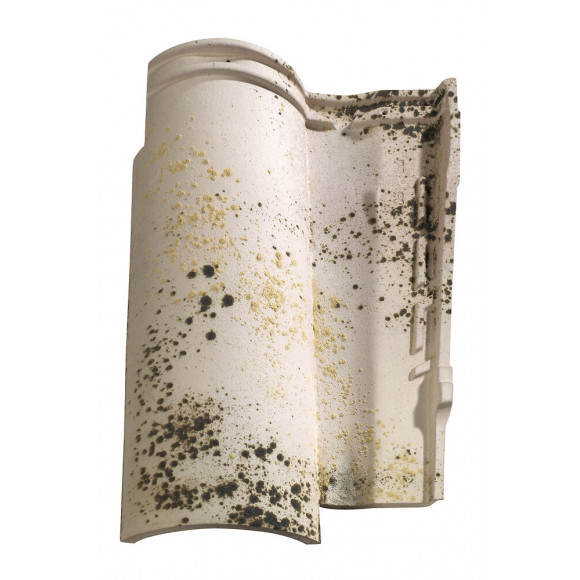 Tuile Galléane 10® Authentique