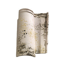 Tuile Galléane 10® Authentique