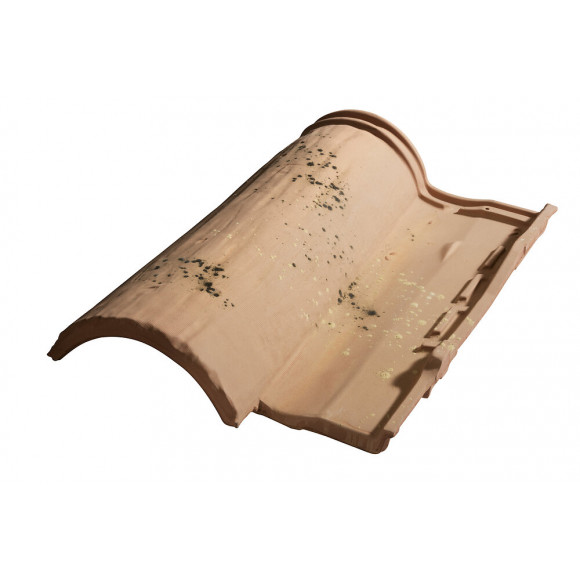 Tuile Galléane 10® Patinée Authentique