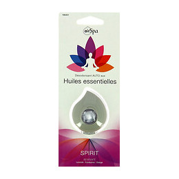 Air Spa diffuseur. SPIRIT