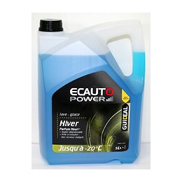 Lave-glace -20°C parfum fleuri 5 litres