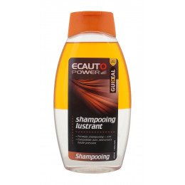 Shampoooing lustrant 2en1 Bouteille 500ml