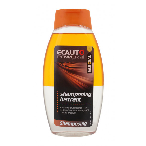 Shampoooing lustrant 2en1 Bouteille 500ml