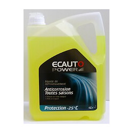 Liquide de refroidissement -25°C 5 litres