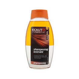 Shampoooing lustrant 2en1 Bouteille 500ml
