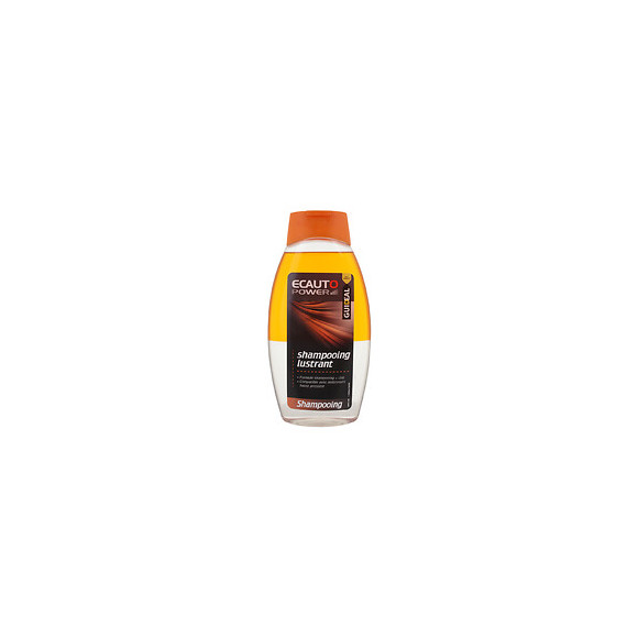 Shampoooing lustrant 2en1 Bouteille 500ml