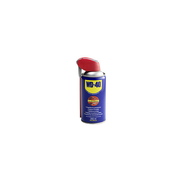 Multifonction Spray Double Position 250ml