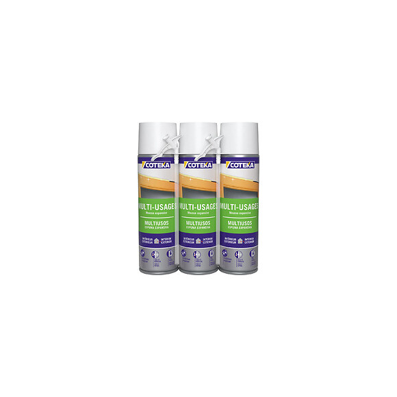 Mousse expansive multi-usages 3x500ml