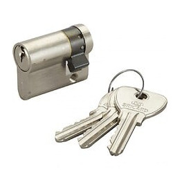 Cylindre De Serrure Bricard Alpha L.30 + 10 Mm