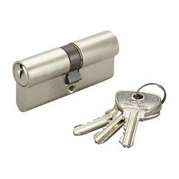 Cylindre De Serrure Bricard Alpha L.35 + 35 Mm