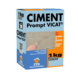 Ciment prompt vicat 1kg