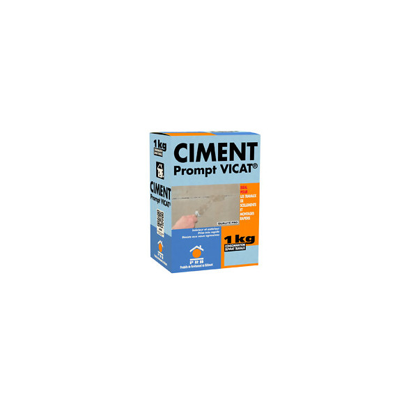 Ciment prompt vicat 1kg