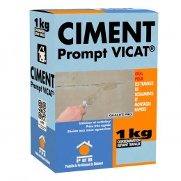 Ciment prompt vicat 1kg