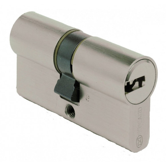 Cylindre De Serrure Bricard Astral Débrayable L.30 + 40 Mm